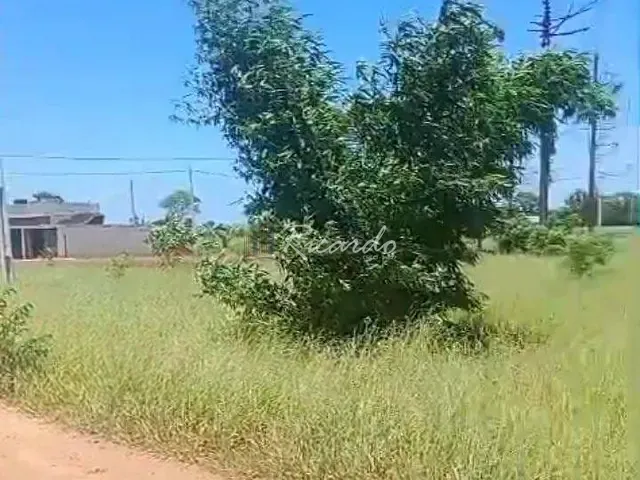 Chácara com 1156m², à venda, no bairro Área Rural de Rolândia em Rolândia