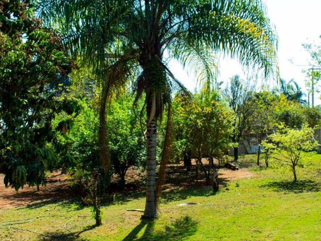 Foto do Chácara - Chácara Bosque dos Eucaliptos: Seu Refúgio Tranquilo em Araçoiaba | Plus Negócios Imobiliários