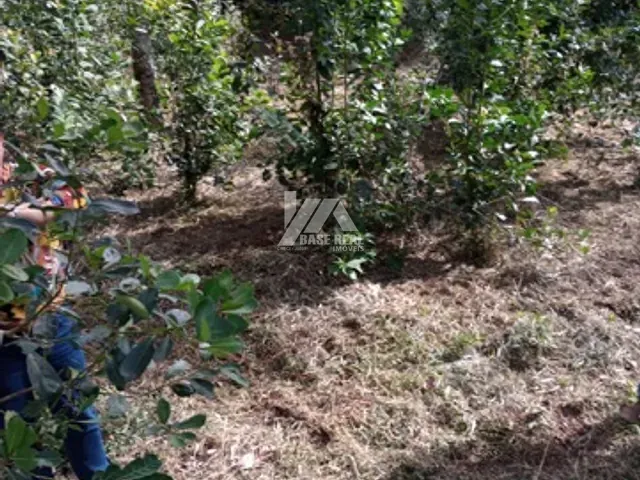 Chácara com 22559m², à venda, no bairro Palmeirinha em Guarapuava