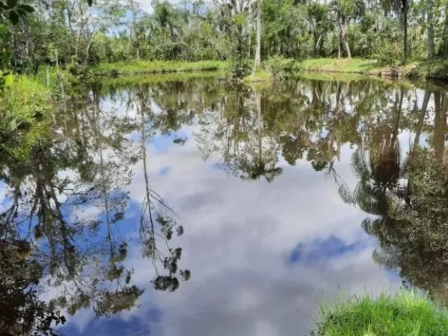 Sítio à venda, no bairro Rio das Pedras em Paranaguá