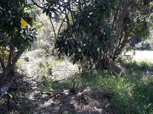 Chácara com 9075m², à venda, no bairro Jardim Guadalupe em Caçapava