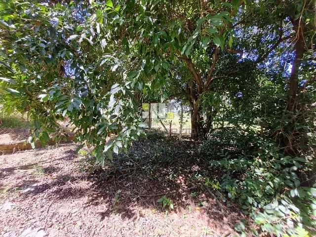 Chácara com 1600m², à venda, no bairro Parque Dante Marmiroli em Sumaré
