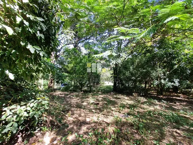 Chácara com 1600m², à venda, no bairro Parque Dante Marmiroli em Sumaré