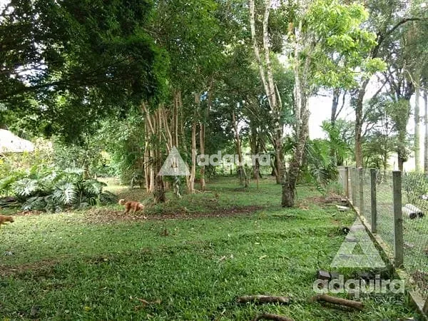 Chácara, 3 quartos, 4500 m² - Foto 33