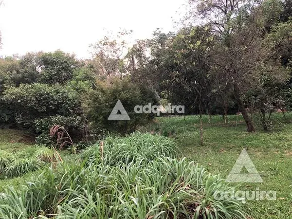 Chácara, 3 quartos, 4500 m² - Foto 36