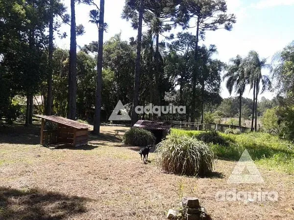Chácara, 3 quartos, 4500 m² - Foto 32