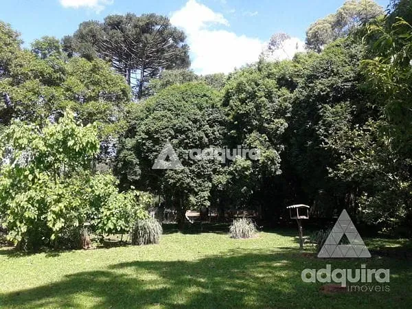 Chácara, 3 quartos, 4500 m² - Foto 31
