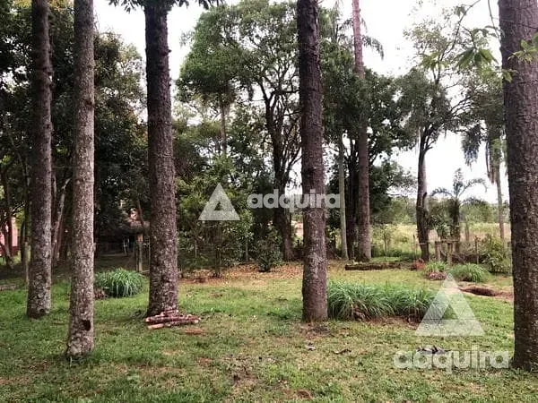 Chácara, 3 quartos, 4500 m² - Foto 37