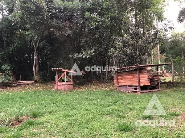 Chácara, 3 quartos, 4500 m² - Foto 38