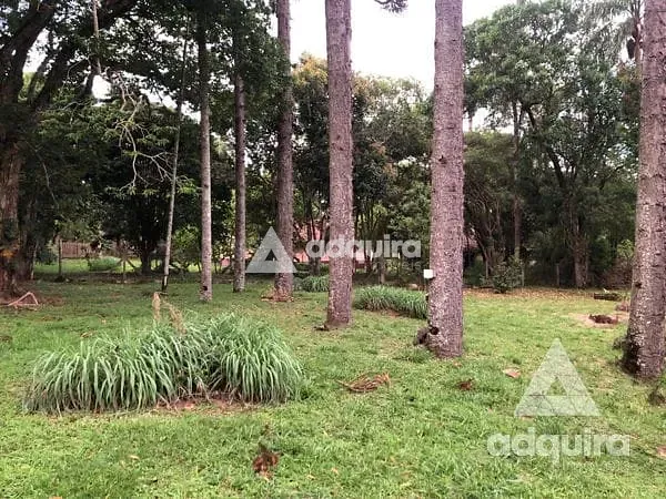 Chácara, 3 quartos, 4500 m² - Foto 35