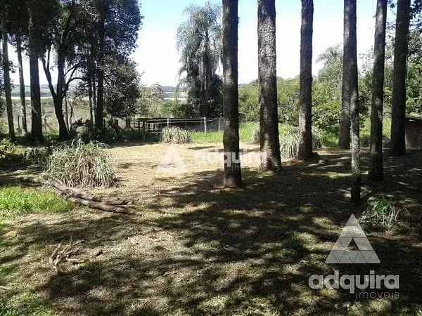 Chácara, 3 quartos, 4500 m² - Foto 34