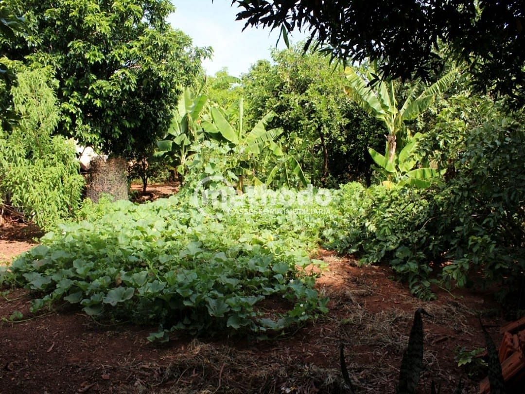 Chácara, 3 quartos, 5762 m² - Foto 16