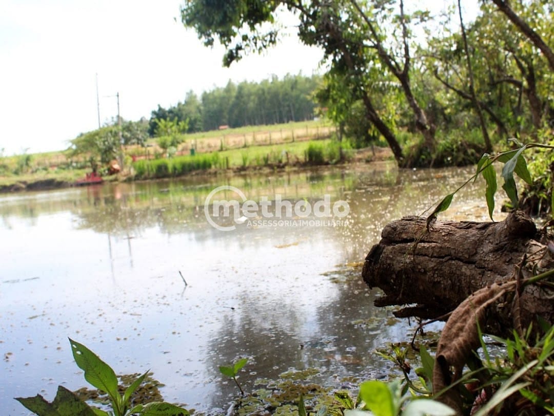 Chácara, 3 quartos, 5762 m² - Foto 1