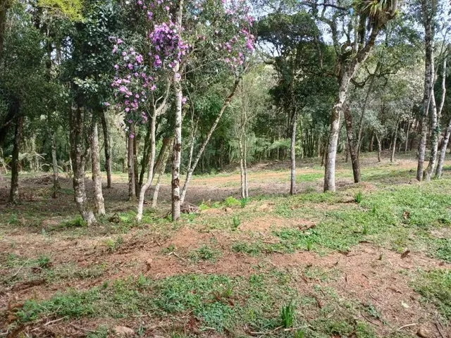 Sítio 1 quarto e 1 banheiro, à venda, no bairro Planta Laranjeiras em Piraquara
