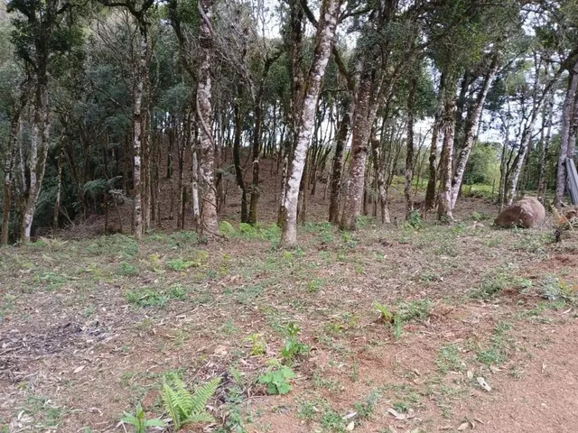 Sítio 1 quarto e 1 banheiro, à venda, no bairro Planta Laranjeiras em Piraquara