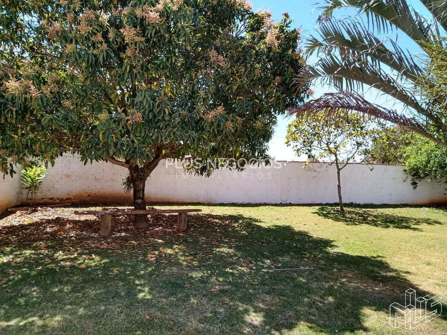 Chácara, 3 quartos, 1000 m² - Foto 25
