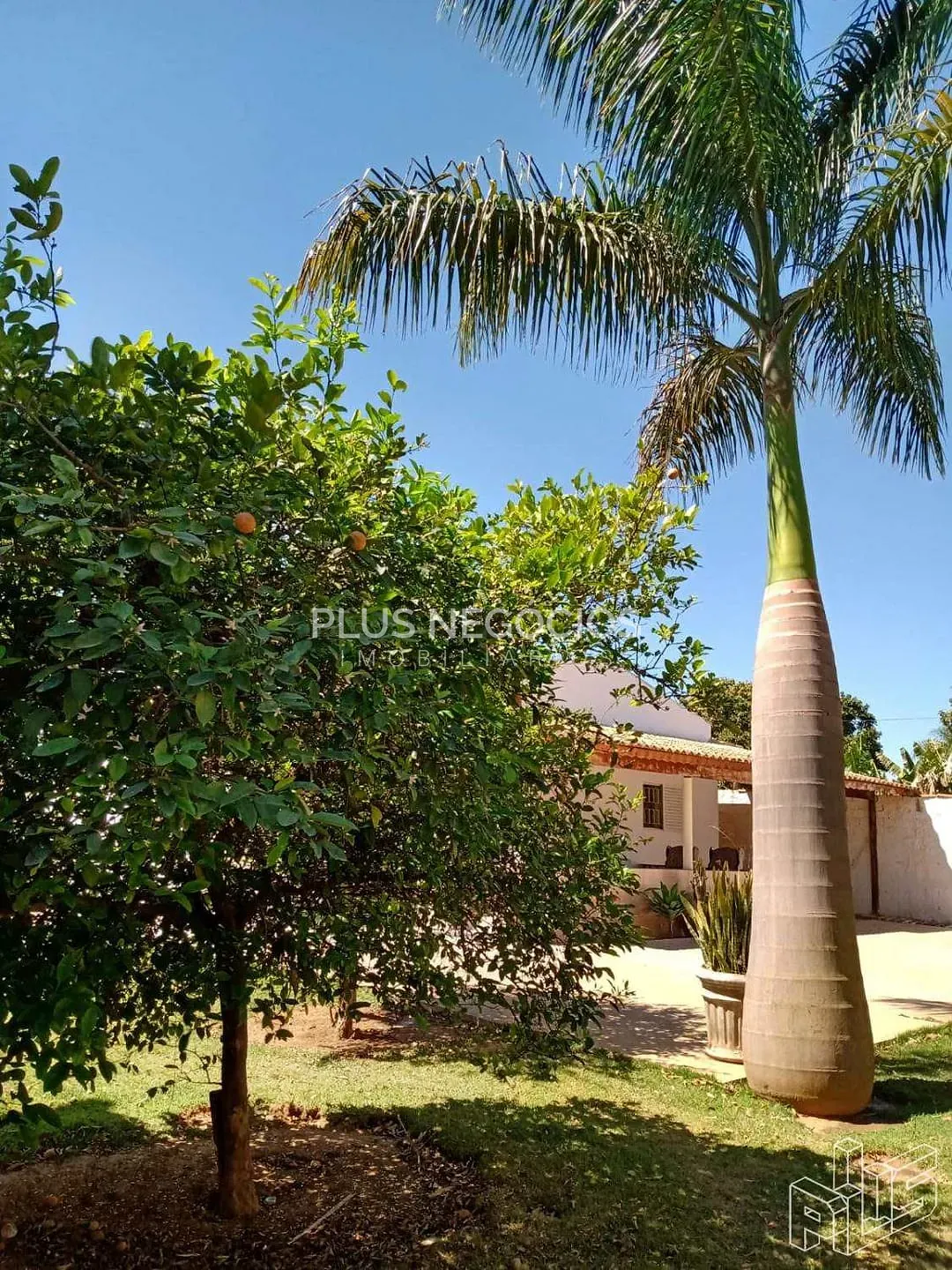 Chácara, 3 quartos, 1000 m² - Foto 13