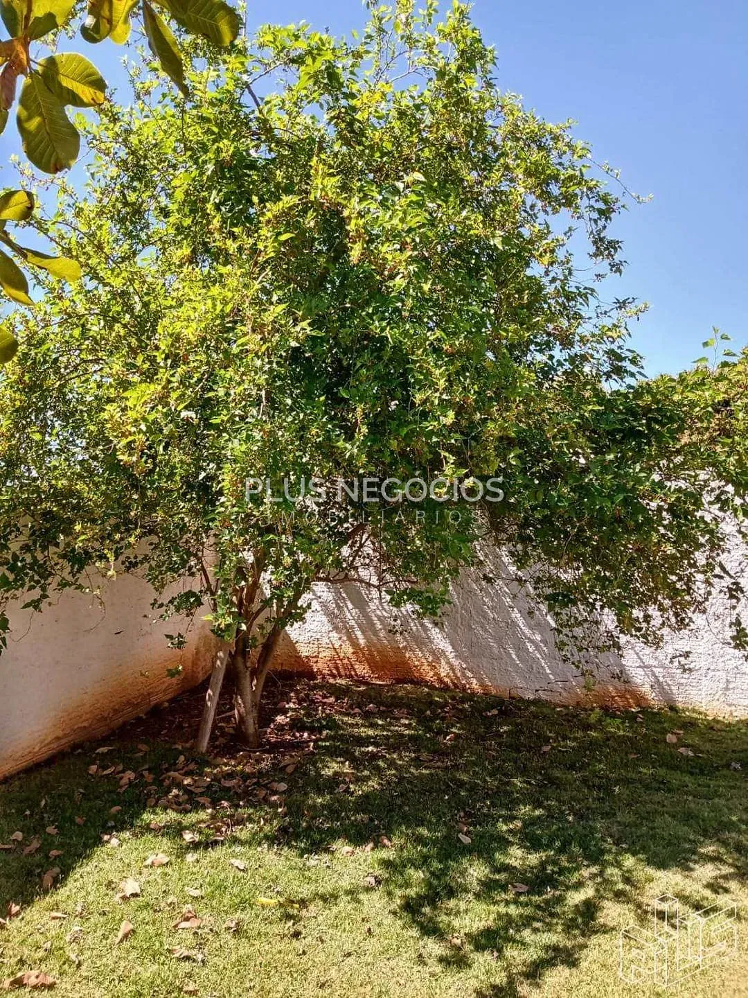 Chácara, 3 quartos, 1000 m² - Foto 23