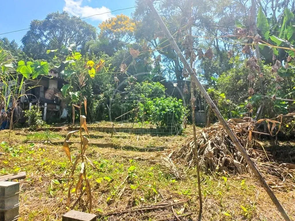 Sítio, 2 quartos, 1400 m² - Foto 21