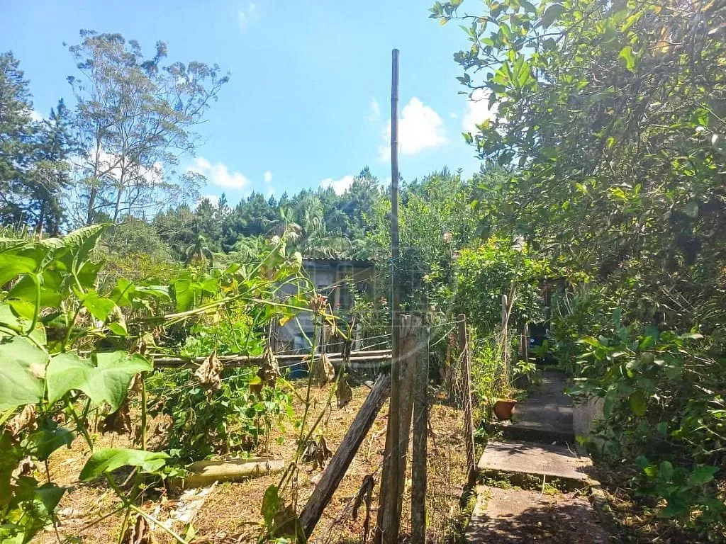 Sítio, 2 quartos, 1400 m² - Foto 20
