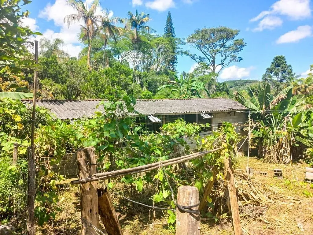 Sítio, 2 quartos, 1400 m² - Foto 19
