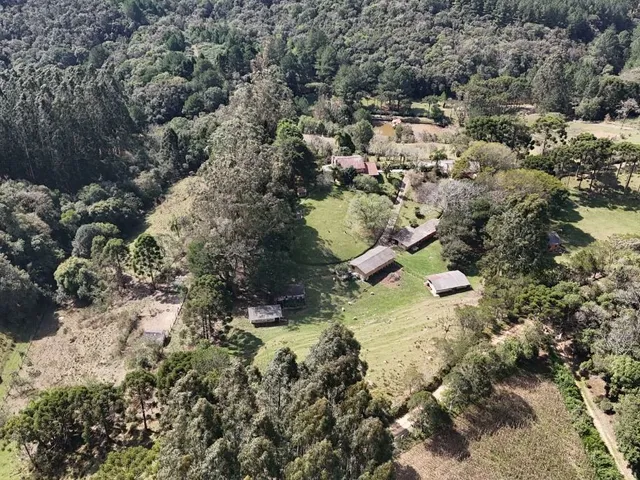 Chácara 4 quartos e 4 banheiros, à venda, no bairro Colônia Matos em Mandirituba