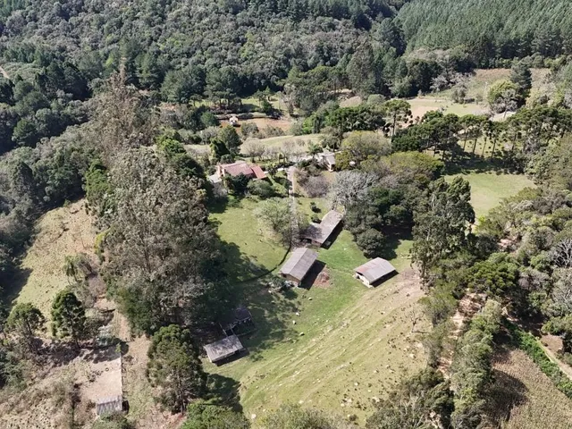 Sítio 4 quartos e 4 banheiros, à venda, no bairro Colônia Matos em Mandirituba