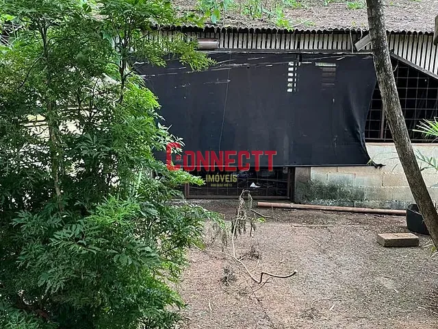 Chácara com 1398m² 3 quartos e 2 banheiros, à venda, no bairro Jardim Itau em Ribeirão Preto
