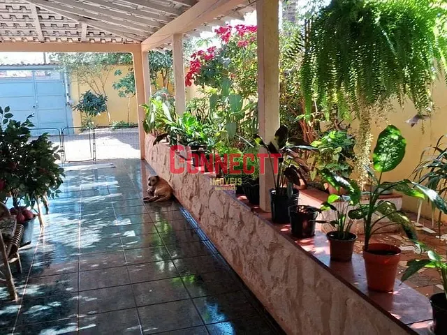 Chácara com 500m² 6 quartos e 3 banheiros, à venda, no bairro Geraldo Correia de Carvalho em Ribeirão Preto