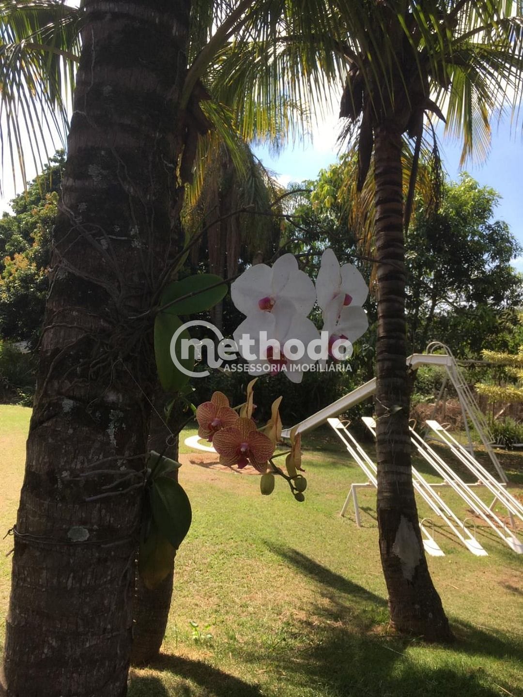 Chácara, 6 quartos, 5315 m² - Foto 11