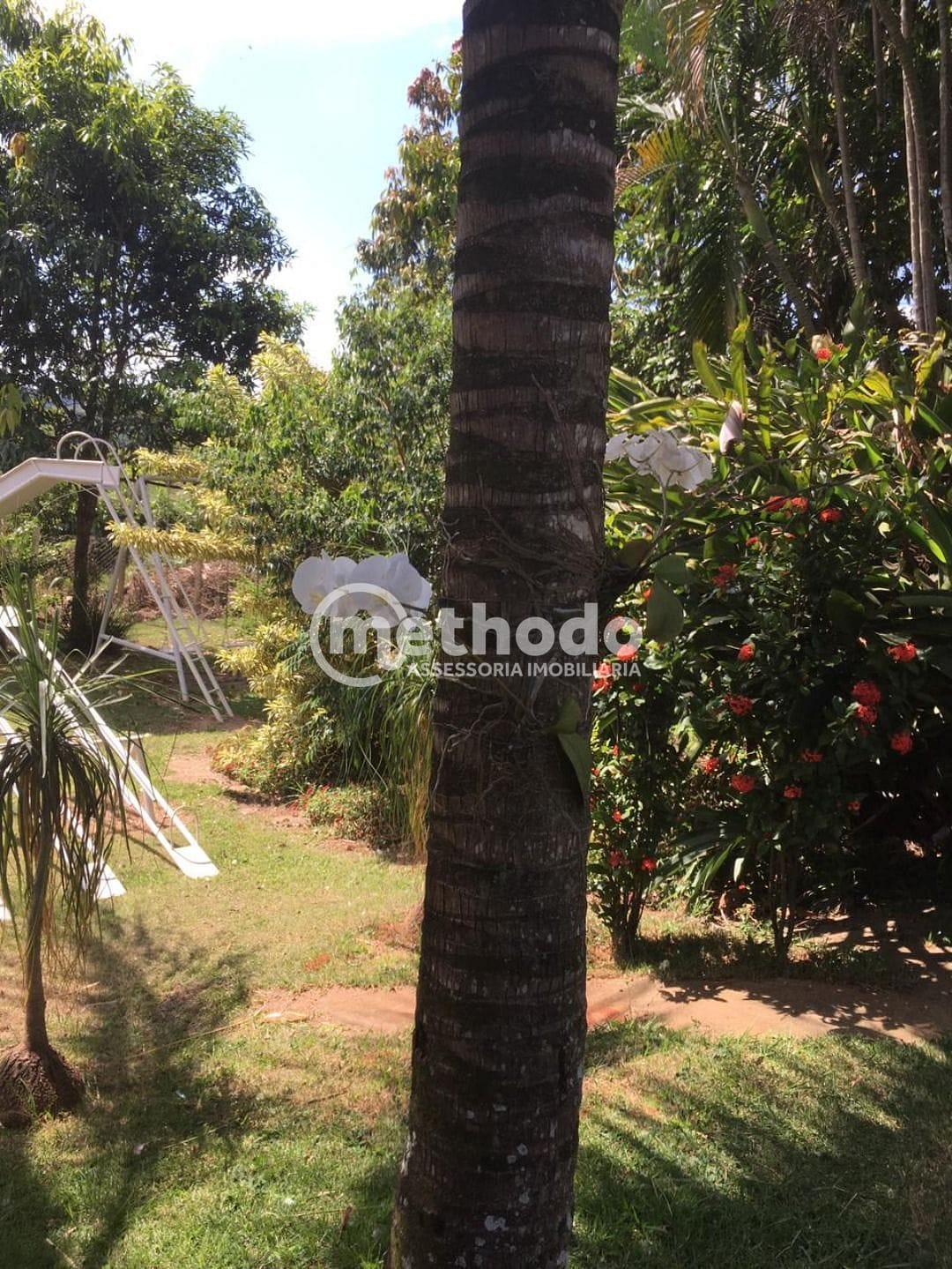 Chácara, 6 quartos, 5315 m² - Foto 9