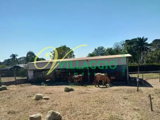 Chácara com 6m² 3 quartos e 2 banheiros, à venda, no bairro Estância Jóckei Club em São José do Rio Preto