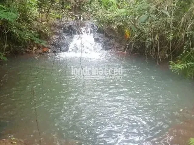 Chácara com 16444m², à venda, no bairro Zona Rural em Irerê