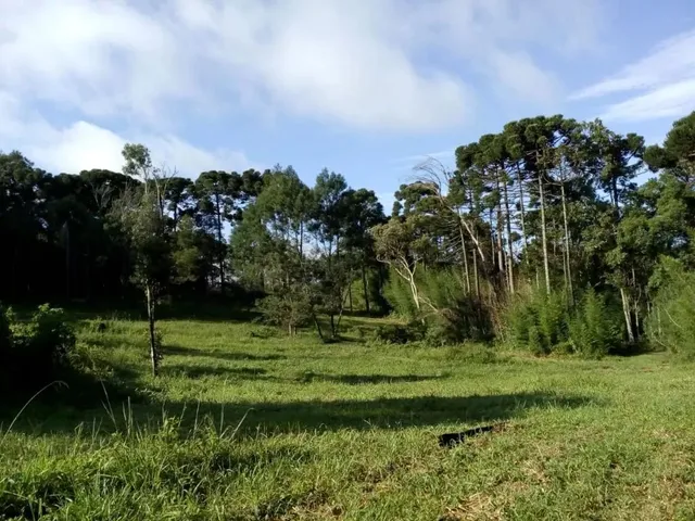 Chácara à venda, no bairro Planta Granjas Eldorado em Piraquara