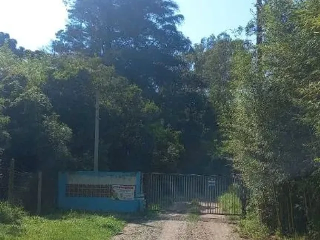 Sítio à venda, no bairro Planta Granjas Eldorado em Piraquara