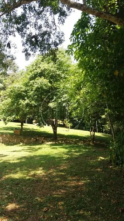 Sítio, 3 quartos, 7200 m² - Foto 20