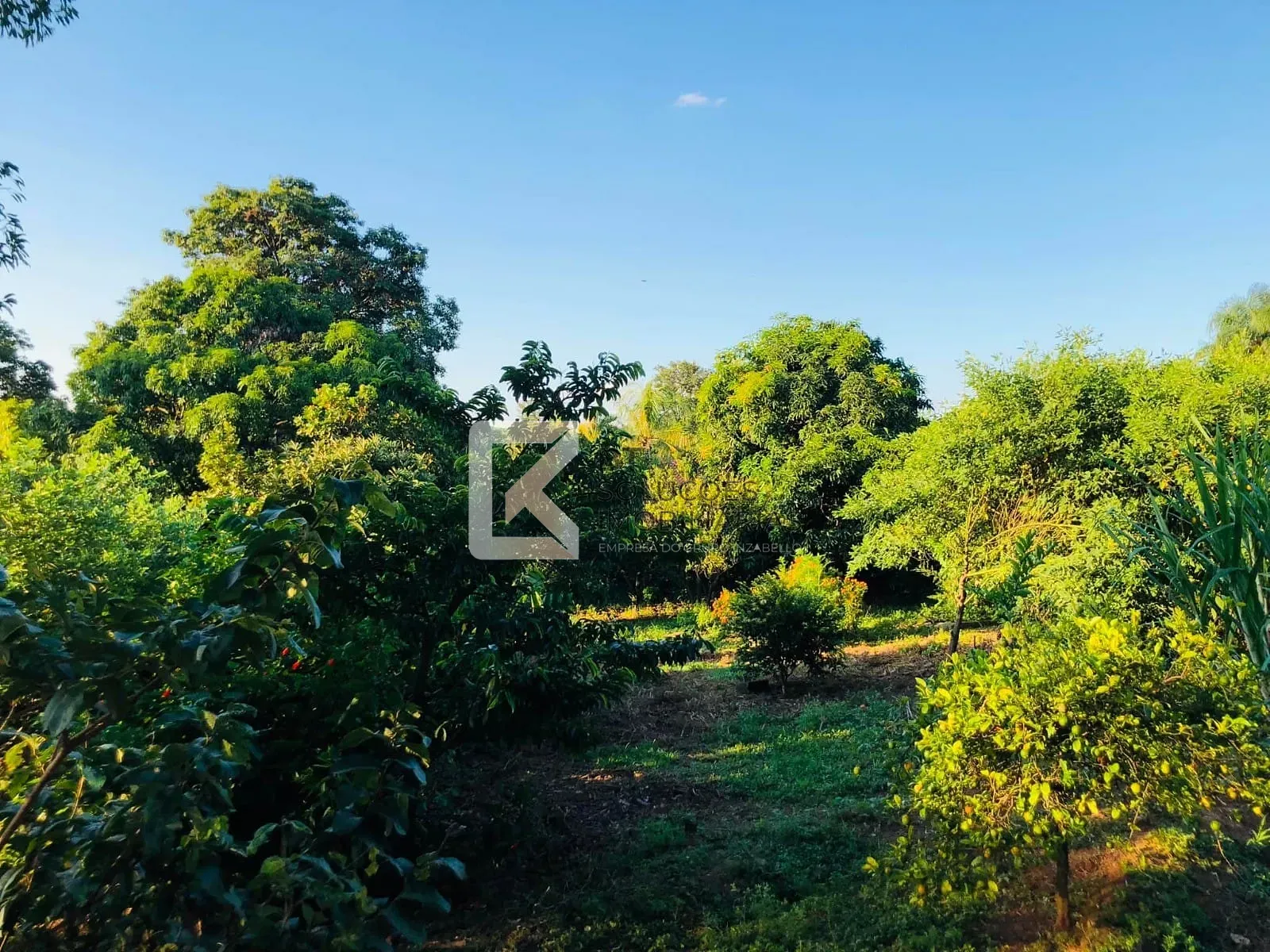 Chácara, 6 quartos, 5840 m² - Foto 22