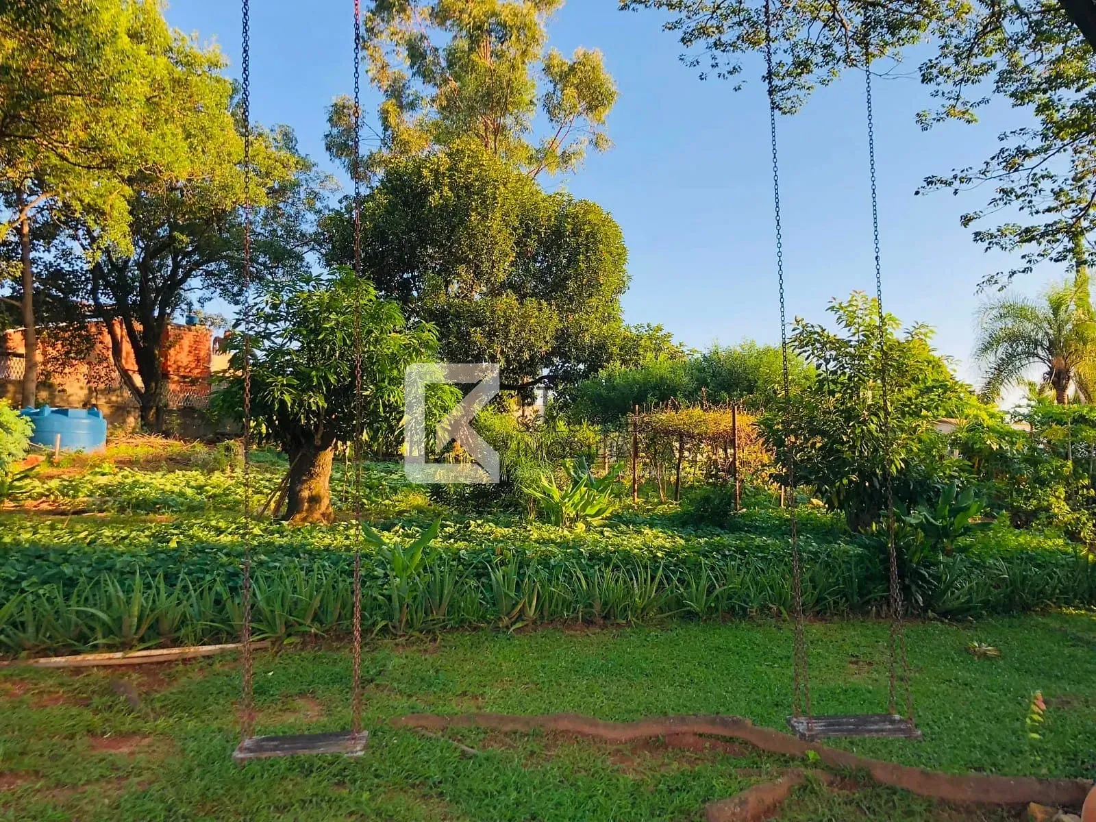 Chácara, 6 quartos, 5840 m² - Foto 23