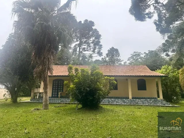 Chácara 3 quartos e 2 banheiros, à venda, no bairro Borda Do Campo em São José Dos Pinhais