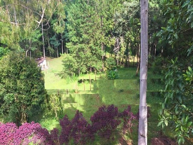 Chácara com 8000m² 3 quartos e 4 banheiros, à venda, no bairro Centro (São Roque) em São Roque