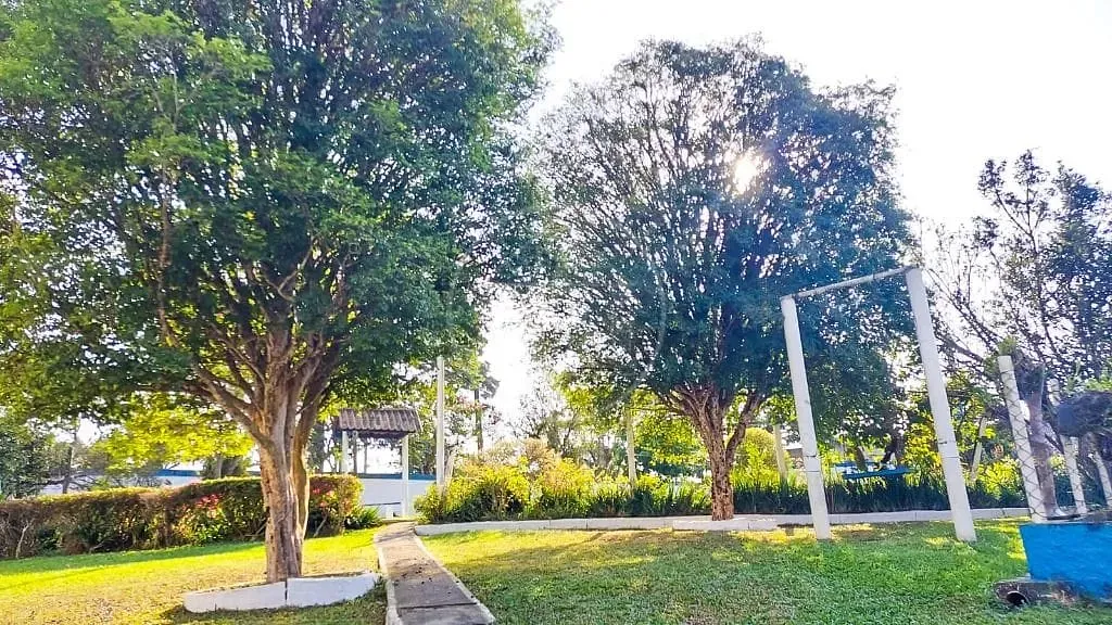 Sítio, 4 quartos, 1800 m² - Foto 29