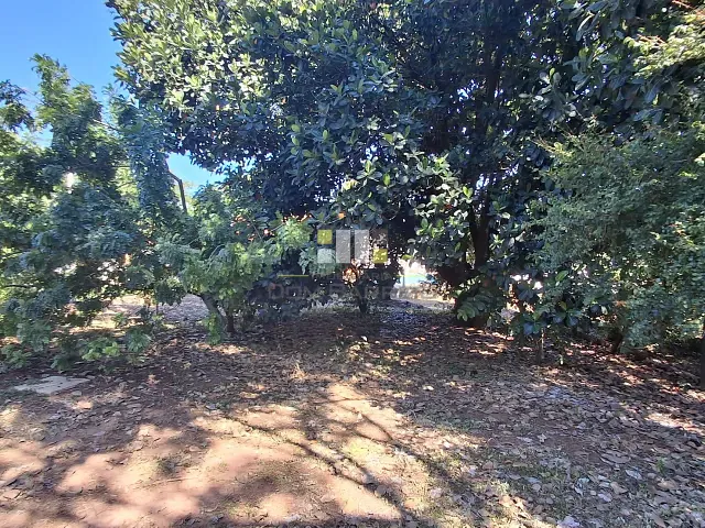 Terreno com 1250m², à venda, no bairro Chácara Recreio Alvorada em Hortolândia