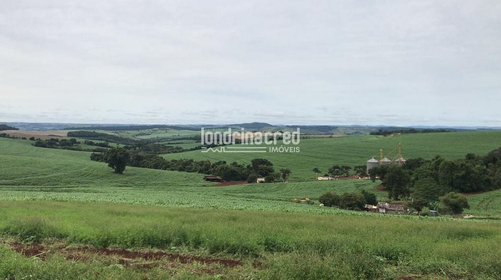 Sítio, 1 quarto, 6 hectares - Foto 1