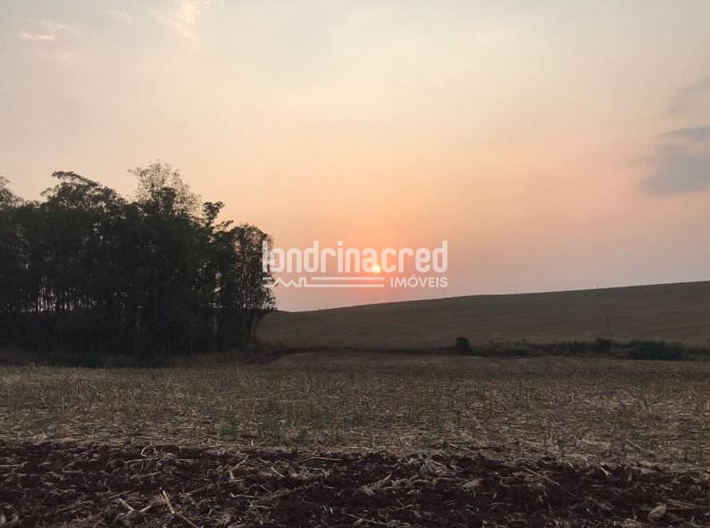 Sítio, 1 quarto, 6 hectares - Foto 2