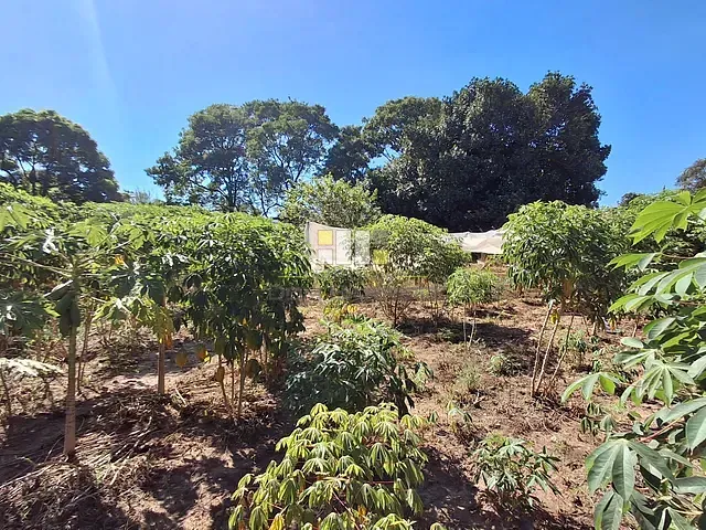Terreno com 1250m², à venda, no bairro Chácara Recreio Alvorada em Hortolândia