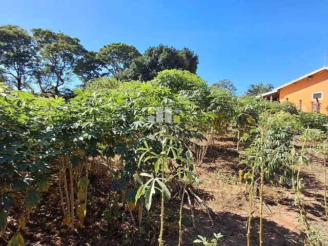 Terreno com 1250m², à venda, no bairro Chácara Recreio Alvorada em Hortolândia