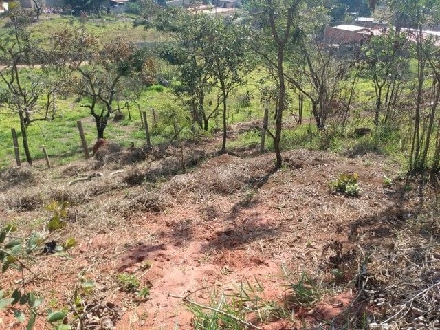 Foto do Chácara - Chácara com 2 dormitórios à venda, 1000 m² por R$ 235.000,00 - Santa Cecilia II - São José dos Campos/SP | INDEPENDENCE NEGOCIOS IMOBILIARIOS LTDA