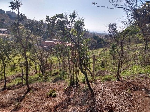 Foto do Chácara - Chácara com 2 dormitórios à venda, 1000 m² por R$ 235.000,00 - Santa Cecilia II - São José dos Campos/SP | INDEPENDENCE NEGOCIOS IMOBILIARIOS LTDA