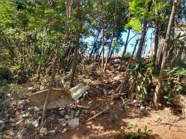 Foto do Chácara - Chácara com 2 dormitórios à venda, 1000 m² por R$ 235.000,00 - Santa Cecilia II - São José dos Campos/SP | INDEPENDENCE NEGOCIOS IMOBILIARIOS LTDA