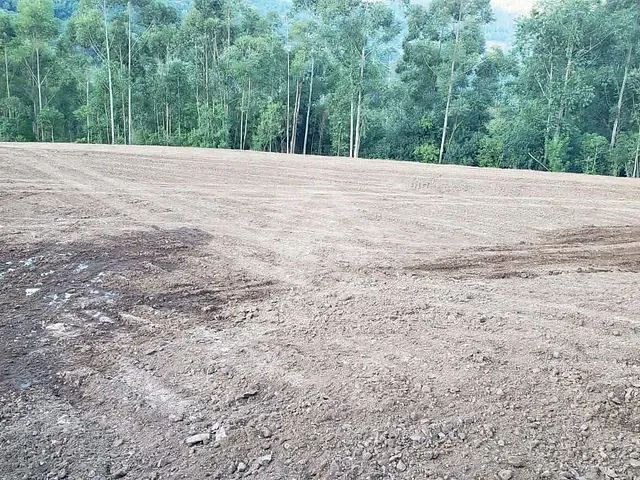 Chácara com 40000m², à venda, no bairro Teutônia em Teutônia